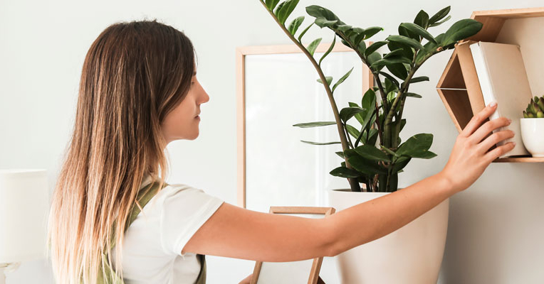 La Journée de la Femme et le Crédit Immobilier : Analyse des Tendances et du Profils des emprunteuses chez CAFPI