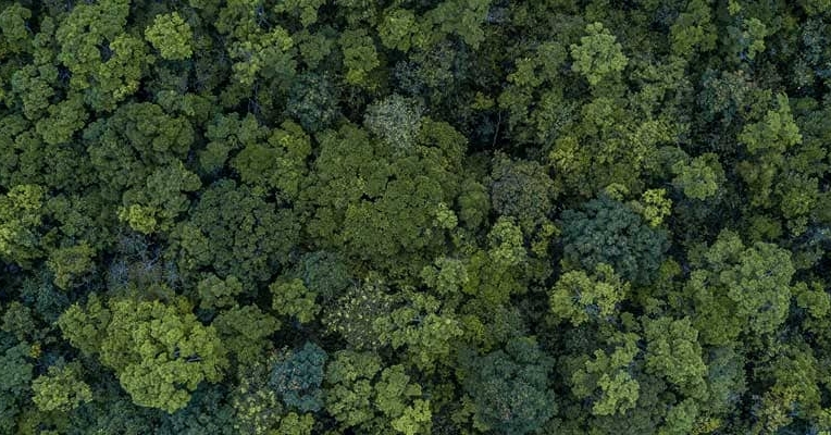 Achat Immobilier : les principales mesures de la loi Climat