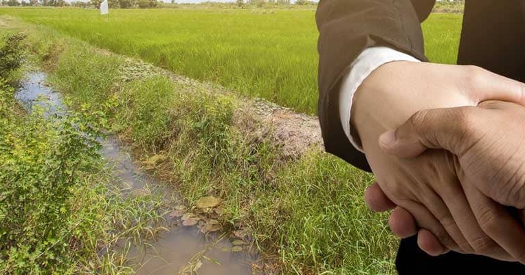 Vendre une partie de son terrain : mode d’emploi