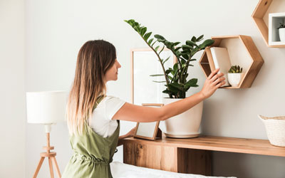 La Journée de la Femme et le Crédit Immobilier : Analyse des Tendances et du Profils des emprunteuses chez CAFPI