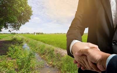 Vendre une partie de son terrain : mode d’emploi
