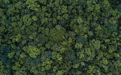 Achat Immobilier : les principales mesures de la loi Climat